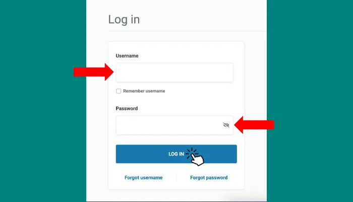 screenshot of Enter Your Credentials screenshot of Enter Your Credentials
