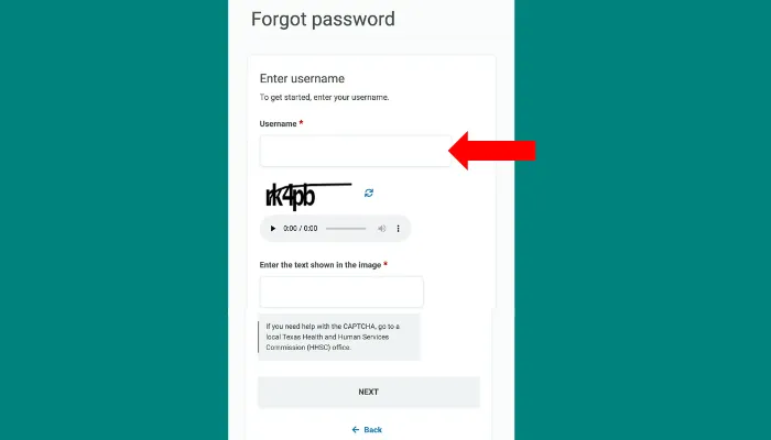Screenshot of forgot password Screenshot of forgot password